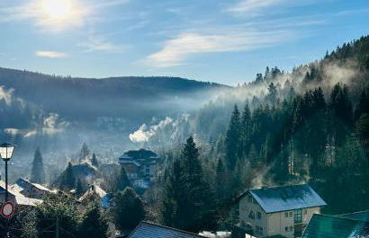 Ferienwohnung Panoramablick - super für deine Familie und die besten Aussicht in ganz Todtmoos - Foto 11