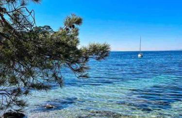 T3 NEUF centre village COLLOBRIERES - Foto 12