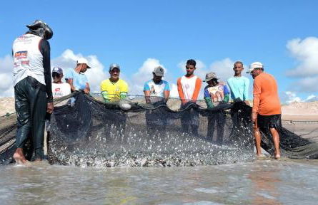 Paraiso de Maracajau 4 - Foto 31