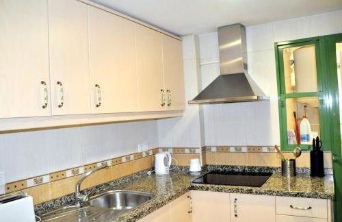 Flamenco I - Photo 28