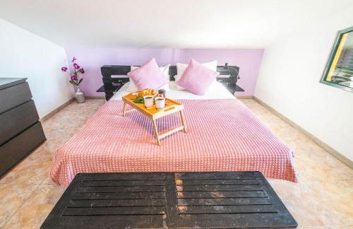 Cantinho da Micas - Photo 18