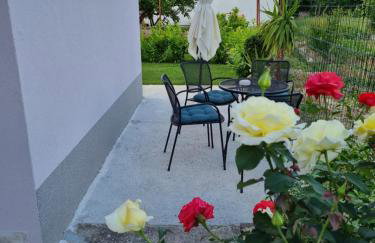 Apartman Galov - Foto 24