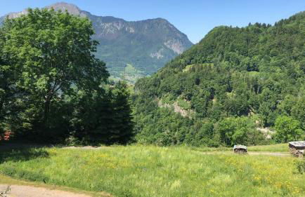 Appartement du bois des Fugiers - Foto 24