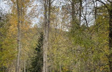 Can Torrotes - Foto 62