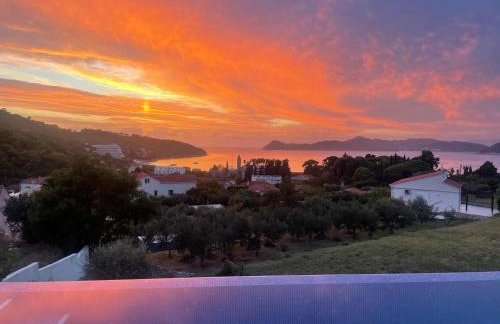 Magnificent new Villa Tofta on Lopud, Croatia. Sea views from the infinity pool - Photo 9