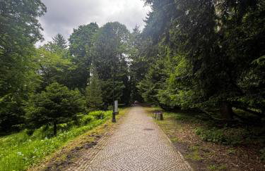 Apartament Chełmiec przy Szczawnie-Zdrój - Foto 41