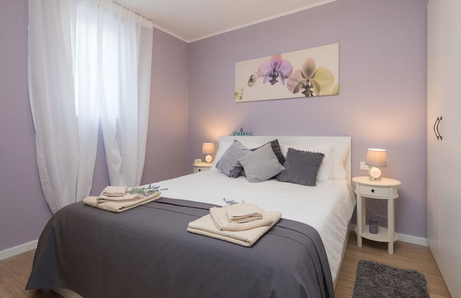 Apartments Zlatin Dvor - Foto 15