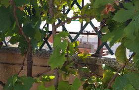 Apartamento Mediterraneo - Photo 36