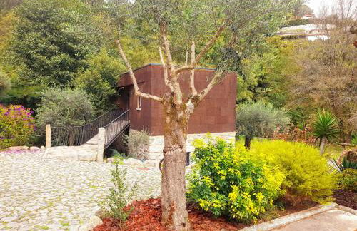 Moinhos Carvalhas - Foto 7