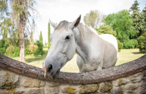 Apartment in Laterina with garden - Foto 20