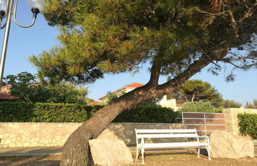 Apartments KUS Ugljan - Photo 22