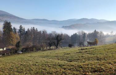 Apartament Buczyna - Foto 11