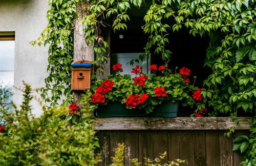 Leśna Zagroda - Foto 13