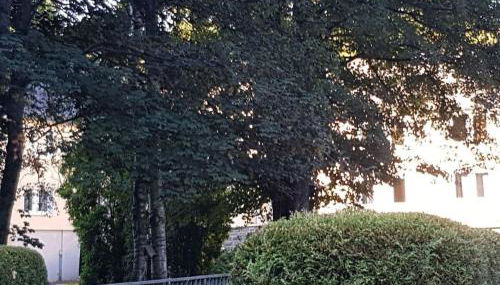 3 Weidenhäuser Mill - Photo 3, Other