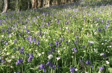Characterful, Cosy Dartmoor Cottage - Foto 10