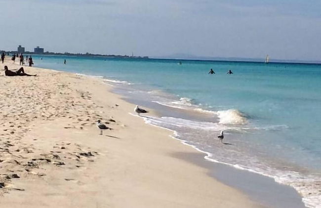 Holiday rental in Cárdenas with garden - Photo 25