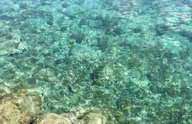 Lara's Green Home - Foto 18