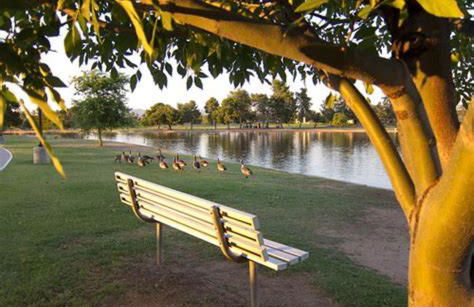 House & Private Pool, Fast Wifi, Great Location! - Foto 33