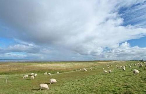 Apartment Altes Pastorenhus by Interhome - Foto 30