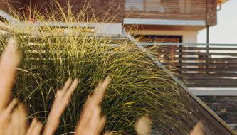 Allgäu-Chalets-Niso - Foto 4