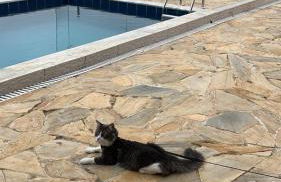 Casa em Angra com 4 quartos, churrasqueira, piscina, sinuca e quadra privativa - Foto 30