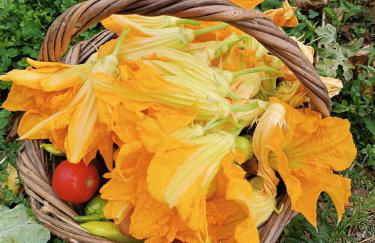 The Lady of the Lake - Photo 31