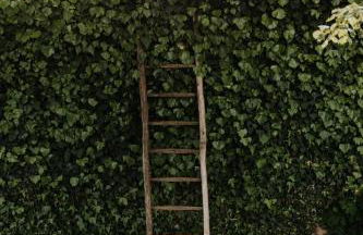 Refuge de campagne au coeur du Périgord - Foto 38