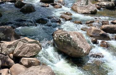 Refúgio verde - Photo 23