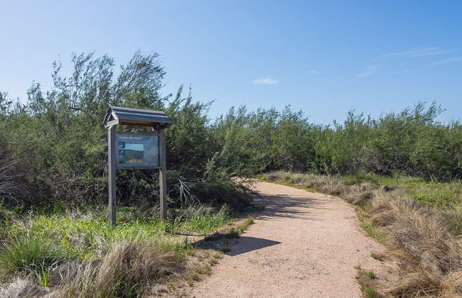 Gulf Adventures and Beachfront Relaxation Awaits - Foto 57