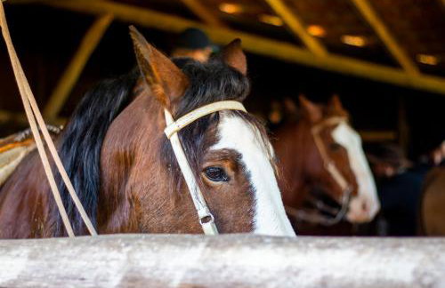 Boqueirão Hotel Fazenda - Foto 31