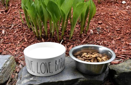 Your Perfect Getaway: Mountain Cabin Retreat with Hot Tub and Fireplace in Lisbon, NH - Foto 15