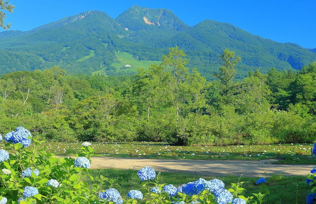Myoko Onsen cottage Ajisai - Foto 40