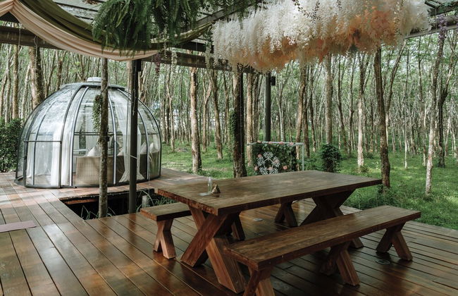 Timber Society Boutique Hideaway - Photo 43