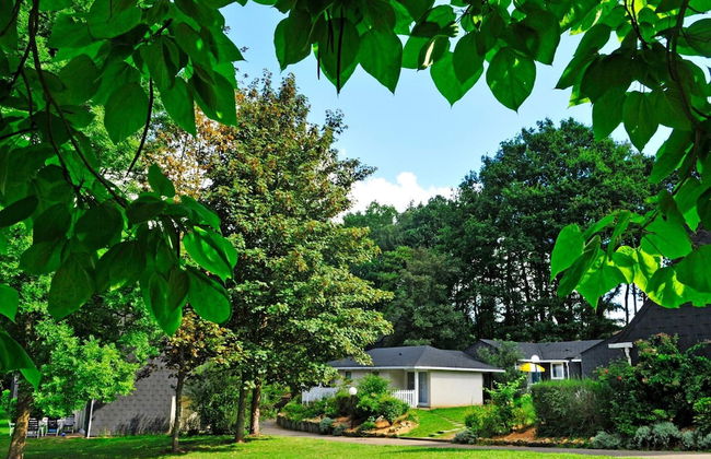 VVF Normandie Forges-les-Eaux - Foto 43