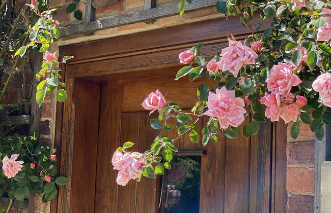 Old Hall Country Breaks - Foto 66