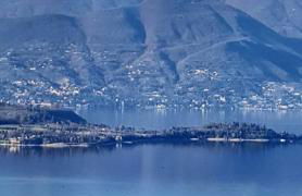 Prato Verde - Girasole - Foto 55