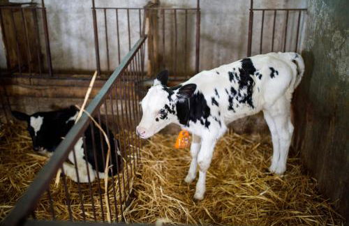 Agriturismo Carovane - Photo 12