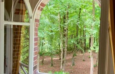 LA FEUILLÉE, Charmante Maison au Bois de Cise - Foto 18