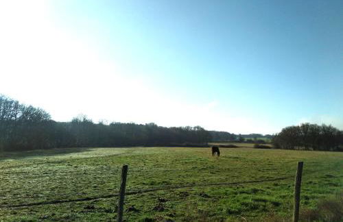 Chalets Moulière Evasion - Foto 43