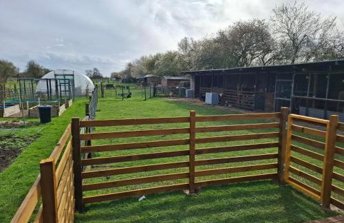 Mardi Gras, Upwell - Foto 30