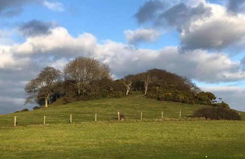 Queen Bower Farm Lodge - Foto 72