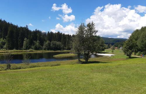 AnNo - Wohlfühlplatzal in da Mauth - Foto 24