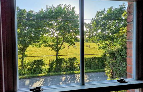 Stunning New Forest Cottage close to Paultons Park - Foto 15