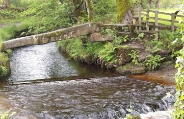 The Croft Holiday Cottage - AA Accredited, Country Cottage - Foto 16