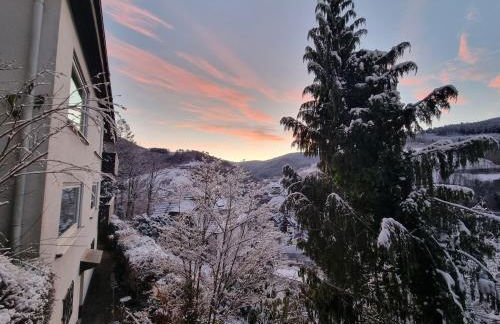 Ferienwohnung Panter- Traumaussicht im Schwarzwald - Foto 12