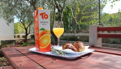 Orhideja Apartment - Foto 3, Garden