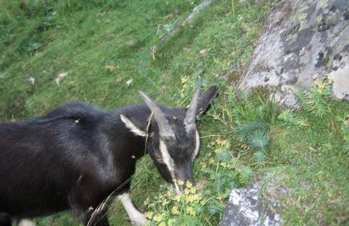 Residence Flora - Photo 40