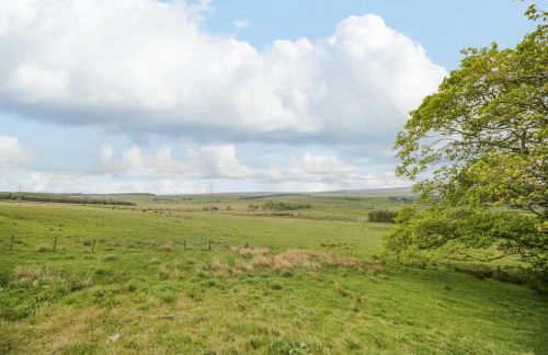 Torties Cottage - Foto 36