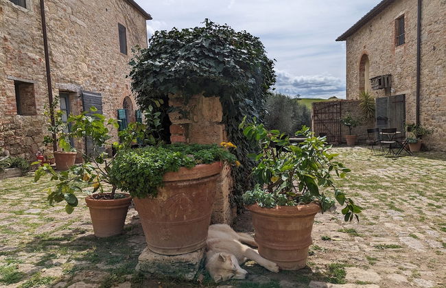 Podere Spedalone - Photo 80