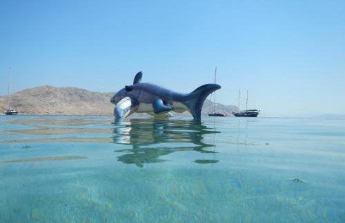 Fofi Apartments - Photo 41